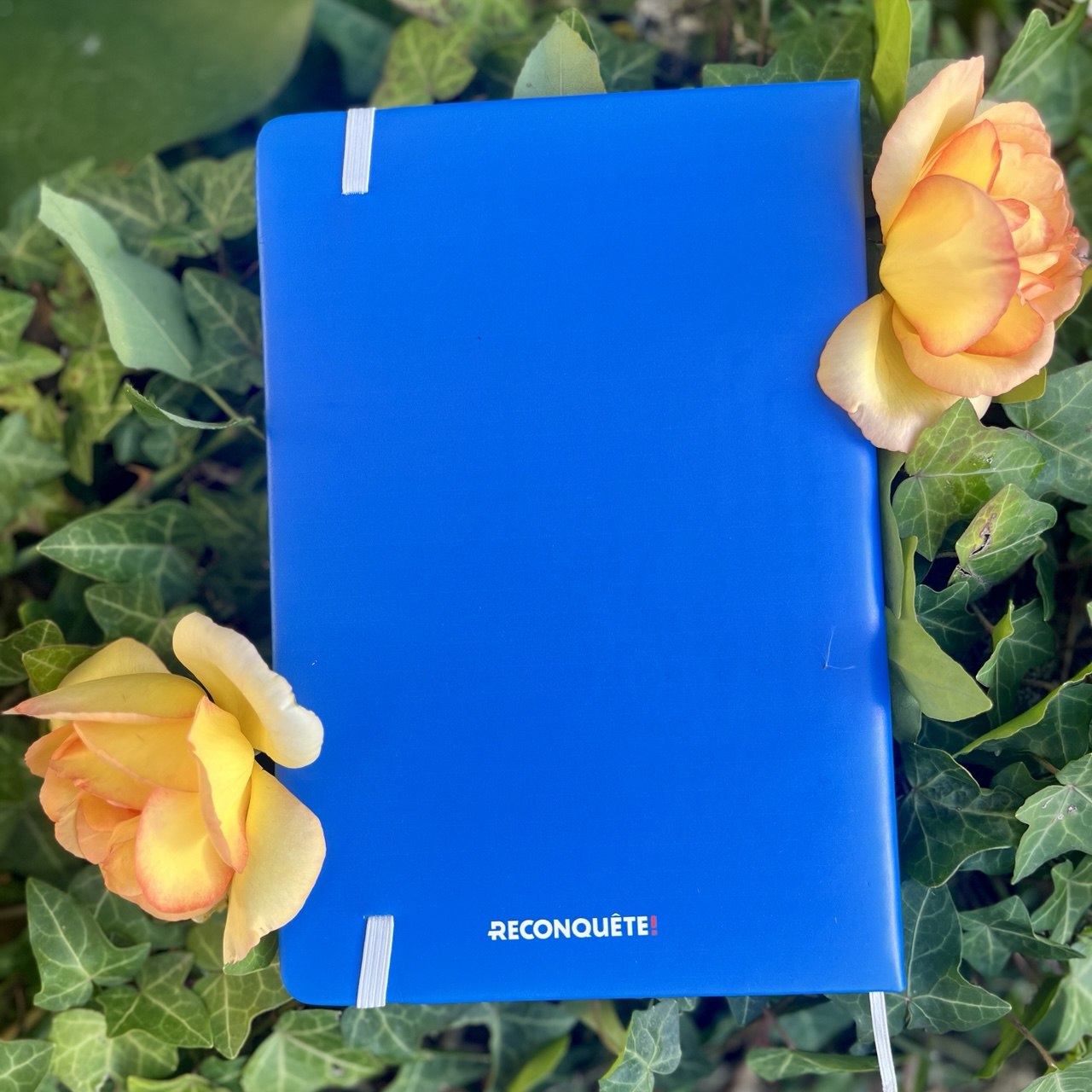 Carnet A5 "Le courage de la vérité"